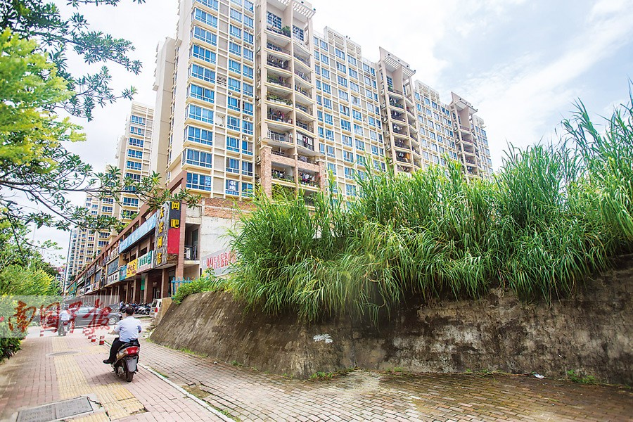 三亿体育手机版