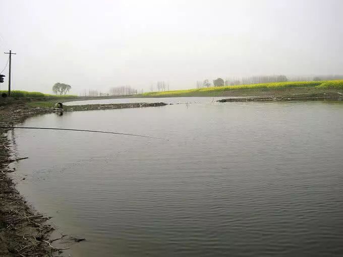 三亿体育手机版