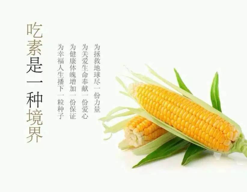 三亿体育手机版