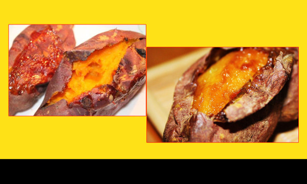 三亿体育手机版