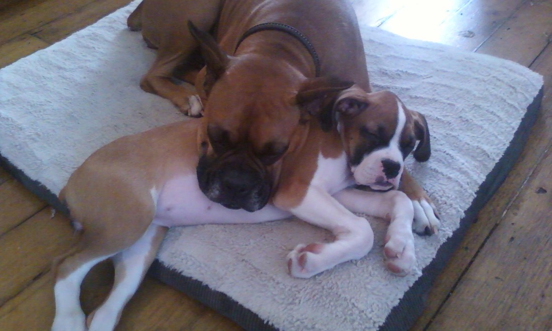 人要学会从自身找原因,而不是怪罪其他人“三亿体育官网”(图2) 三亿体育手机版