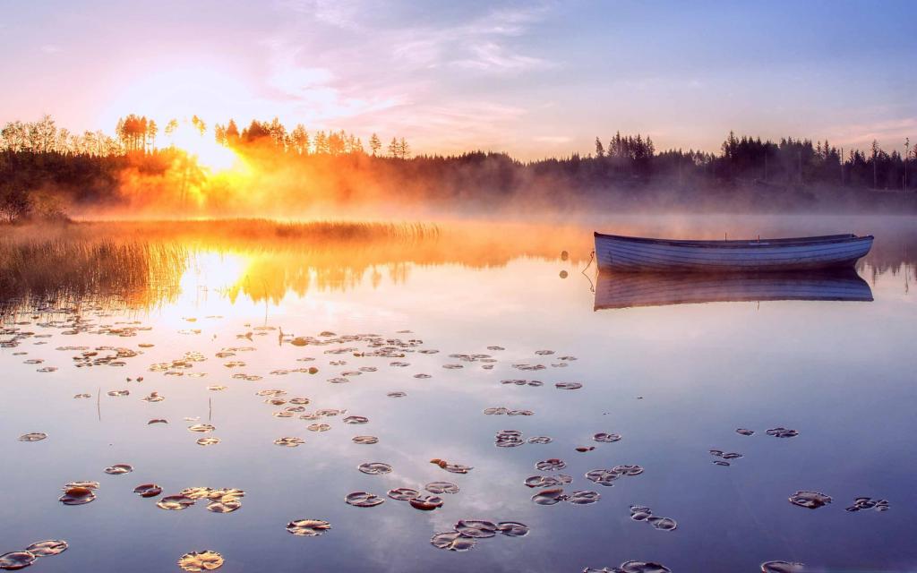 三亿体育手机版