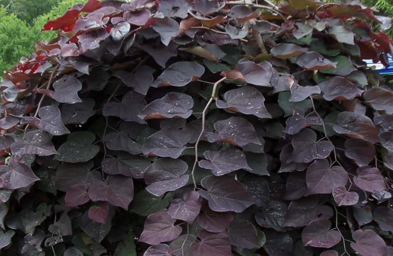 三亿体育|“仅自己可见。”(图3) 三亿体育手机版