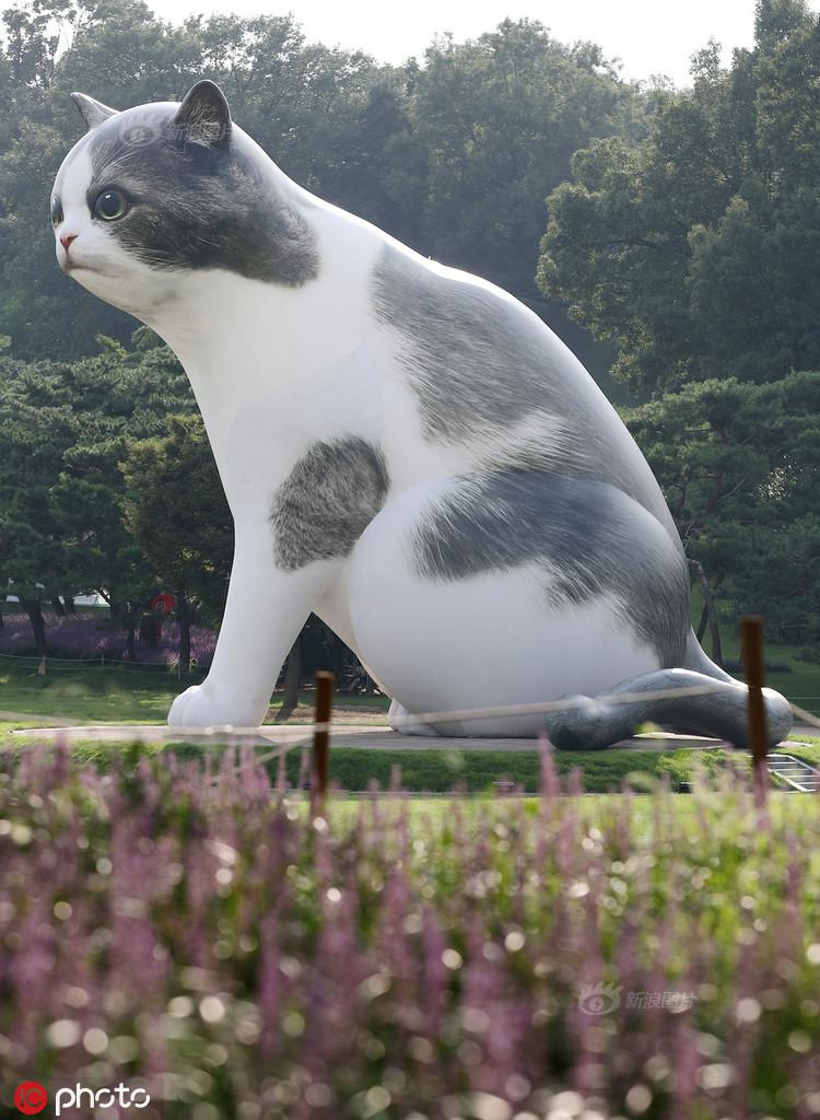 
宋林飞：苏南率先基本实现现代化的实践与探索【三亿体育手机版】