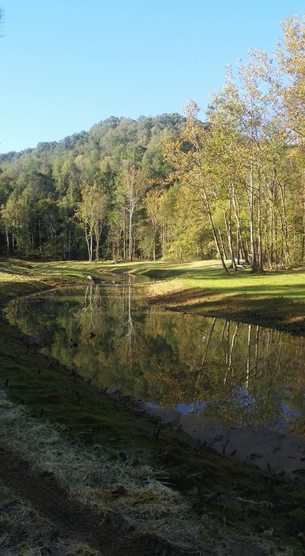 朋友间的伪装者:三亿体育官网(图1) 三亿体育官网
