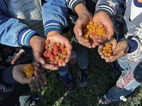 ‘三亿体育手机版’中了邪(图2) 三亿体育手机版