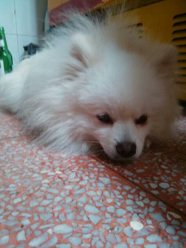 “互联网+”助力农业供给侧结构性改革_三亿体育官网(图1) 三亿体育手机版