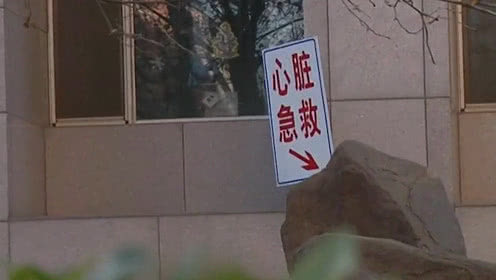 “三亿体育手机版”茶花鸡价格多少钱一斤?茶花鸡为什么这么贵?(图2) 三亿体育