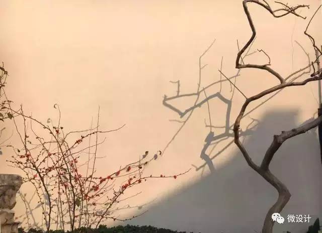 自嘲给我自由‘三亿体育官网’(图1) 三亿体育手机版