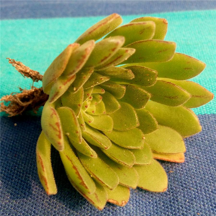 三亿体育手机版:00后笑我是老阿姨?我是!(图3) 三亿体育