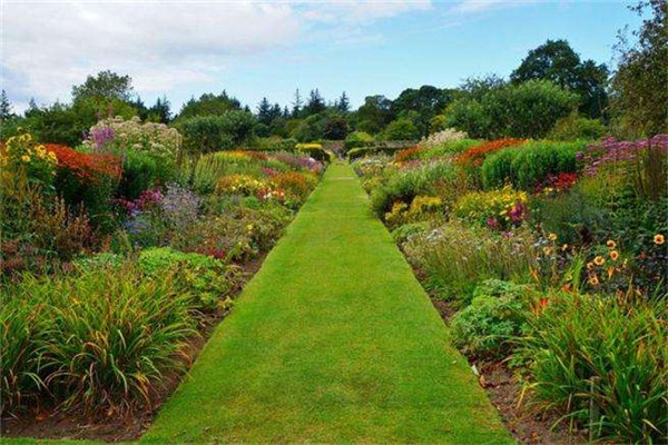 三亿体育手机版