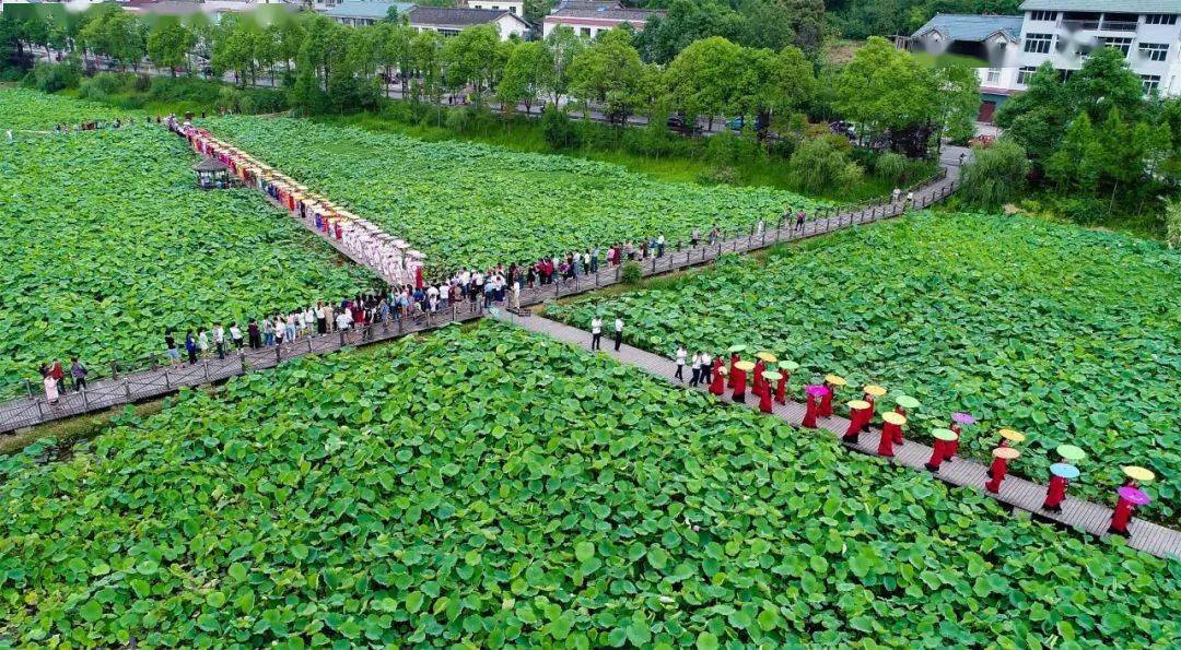 
【重磅】厉害了 广元一地霸屏CCTV1一分钟！‘三亿体育官网’(图10)