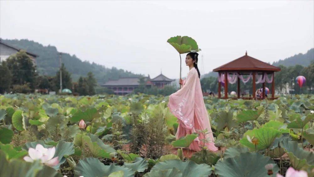 
【重磅】厉害了 广元一地霸屏CCTV1一分钟！‘三亿体育官网’(图12)