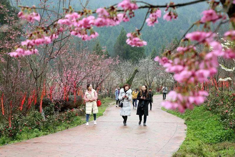 
【重磅】厉害了 广元一地霸屏CCTV1一分钟！‘三亿体育官网’(图19)