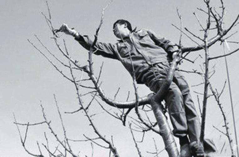 三亿体育手机版