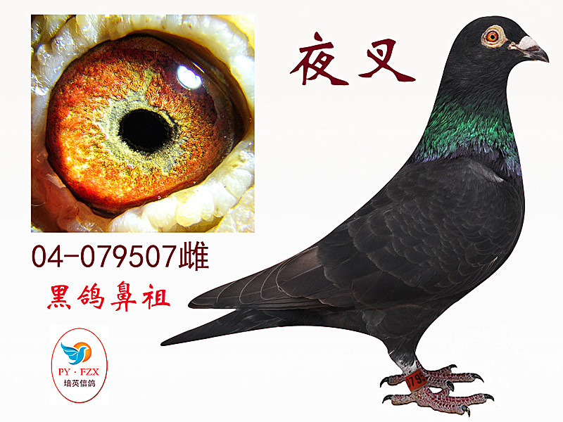 三亿体育手机版