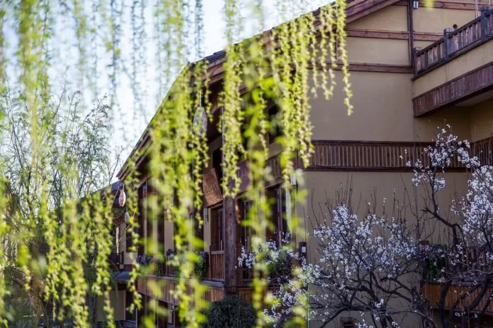 三亿体育手机版