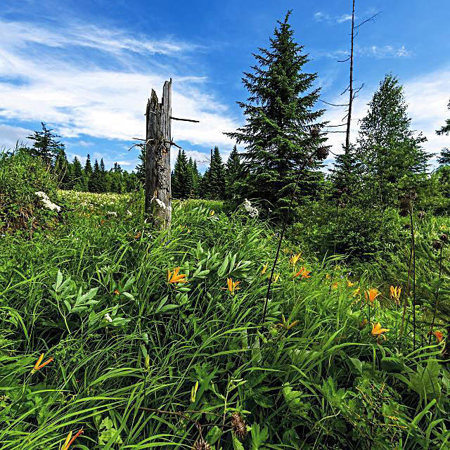 三亿体育手机版