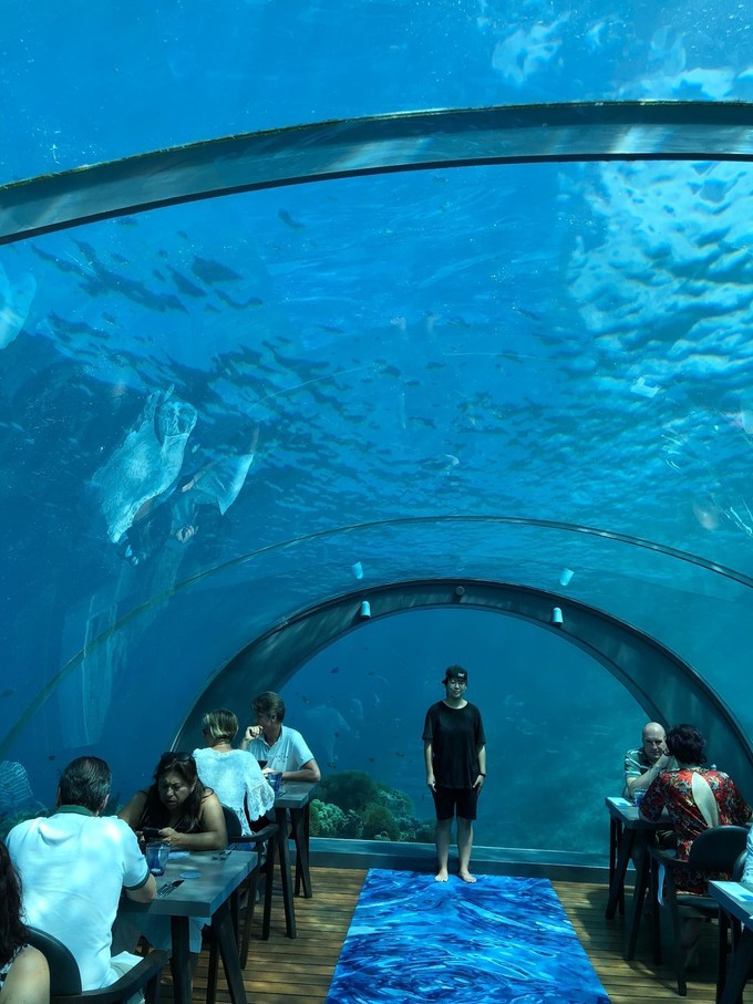 三亿体育手机版