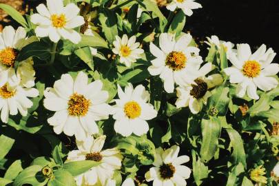 三亿体育手机版